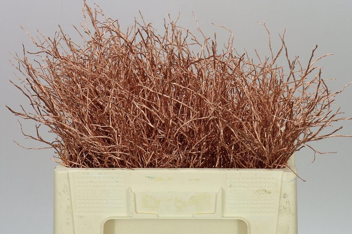 <h4>Vac Huck Copper</h4>