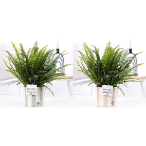 Nephr Green Lady Keramiek Eline