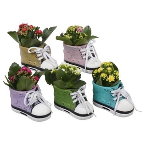 PTBTS3235 Arrangement Thank you teacher/Back To School in sierpot mix