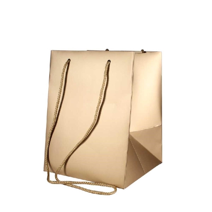 <h4>Bags Olympic 25*18*18cm</h4>