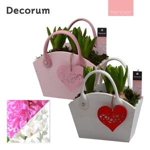 Hyacint Wooden Bag HL15874 [TENDER]
