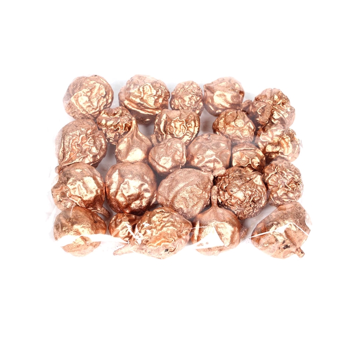 <h4>Liverfruit 400gr in poly Copper</h4>