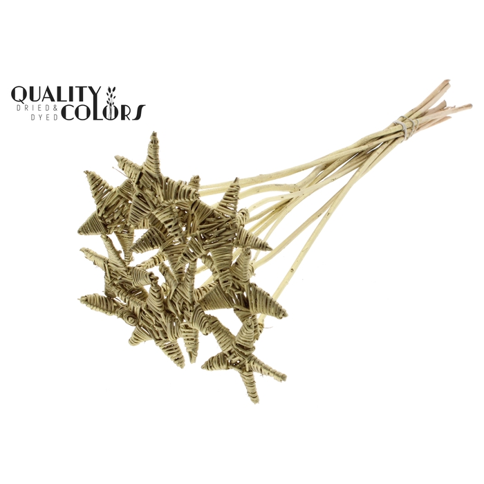 <h4>Lata Star on stem Gold</h4>