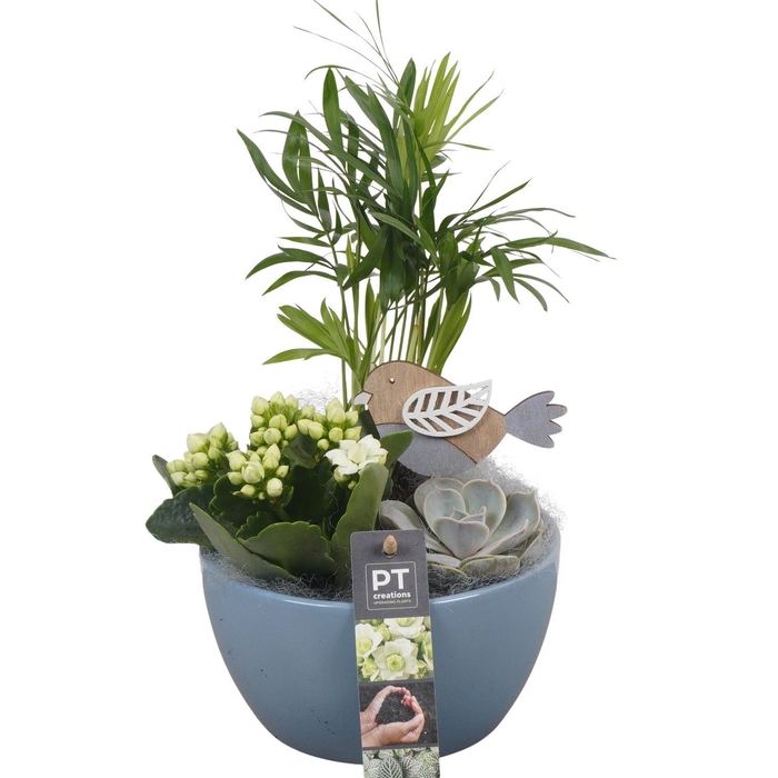 <h4>Arr.   Planten L%</h4>