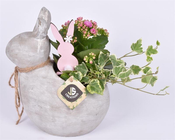 <h4>Cement konijn 20x15</h4>