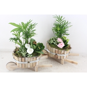 arr2 TD - Hout kar v2 - roze/wit