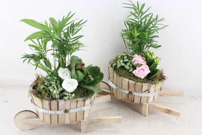 <h4>arr2 TD - Hout kar v2 - roze/wit</h4>