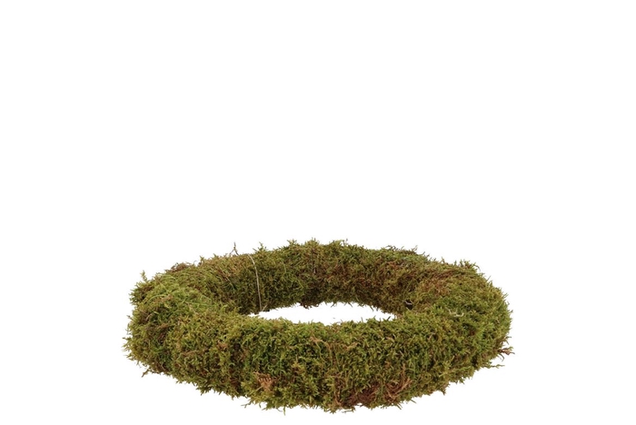 Nature Wreath Green Moss 20cm