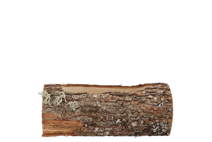 Nature Oak Planter 24x10x9cm