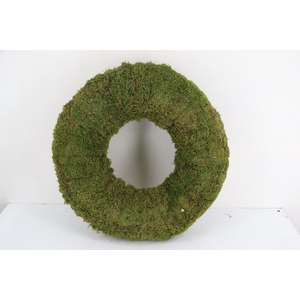 Wreath Moss Ø60cm
