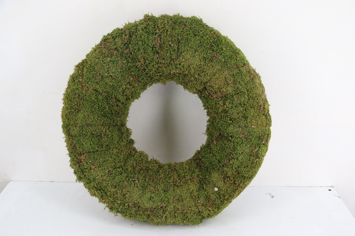 <h4>Wreath Moss Ø60cm</h4>