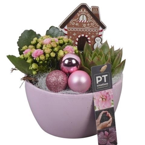 Opm Pt PTCHP3502 X-mas Pink Keramiek Schaal