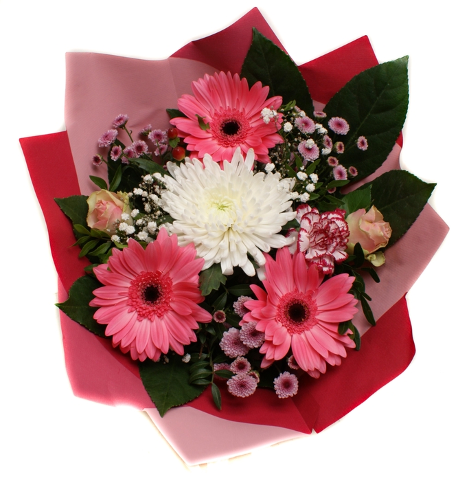<h4>2025001 Roze</h4>