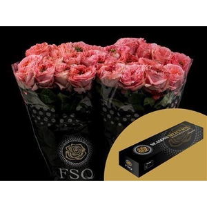 R Gr Mandarin X-pression Box