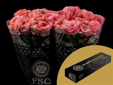 <h4>R Gr Mandarin X-pression Box</h4>