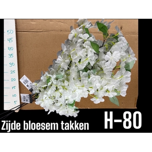 HUIS EN TUINDECO H%
