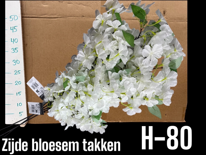 <h4>HUIS EN TUINDECO H%</h4>