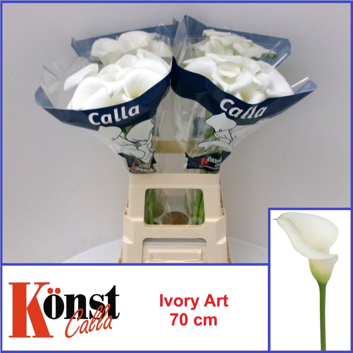 <h4>ZANT IVORY ART</h4>