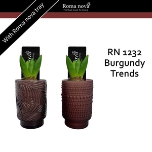 1232 - Burgundy Trends (Hyacint)