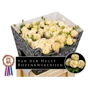 R Tr Royal Champagne Paul Hulst