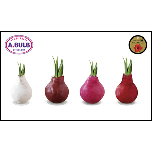 A.BULB of Colour - 28cm Love Waxed Mix