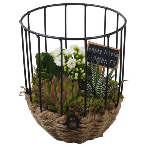 <h4>PTIB5278 Arrangement Indoor in touwmand met metaal</h4>