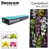 Cymb.mix 9+ Decorum
