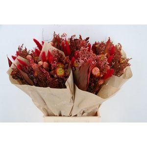 DROOGBL BEWERKT H%