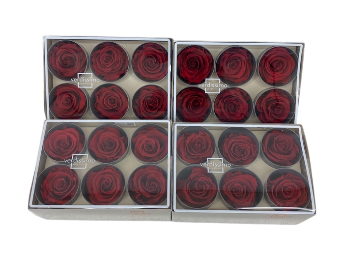 <h4>ARR ROSA POT H%</h4>