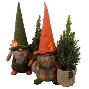 Arr.   Tuinplanten L%