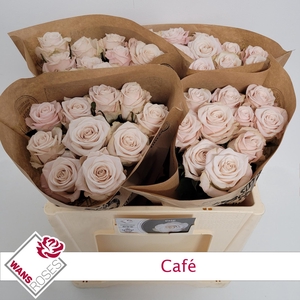 R GR CAFE!