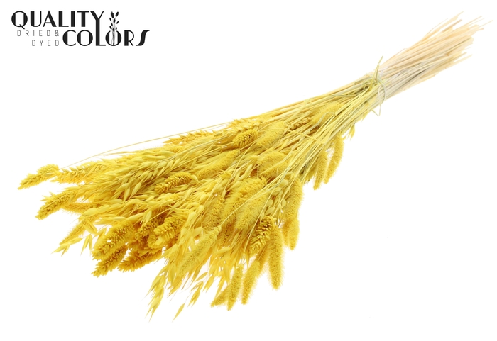 <h4>Dried Flower Mix bunch Bleached Yellow</h4>