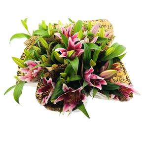 BQ Mono Lilium Oriental 3 stems roze