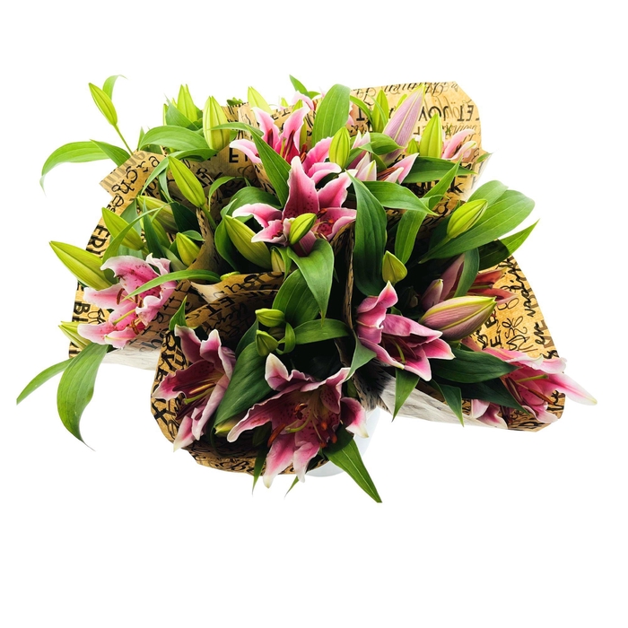 BQ Mono Lilium Oriental 3 stems roze