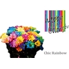 Chr T Chic Rainbow