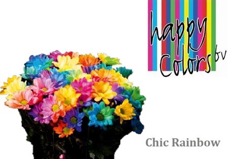 Chr T Chic Rainbow