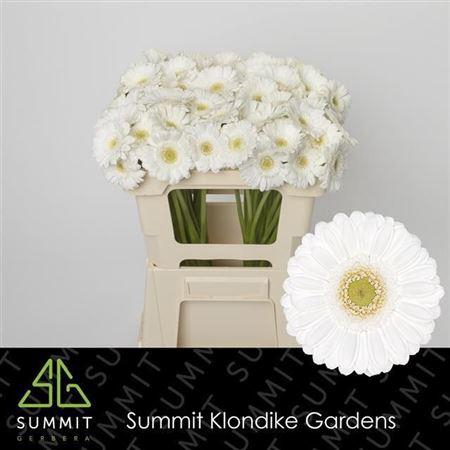 <h4>Ge Mi Lobby</h4>