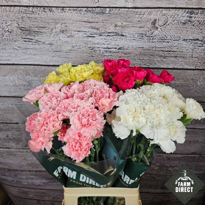 <h4>DI ST GEMENGD IN FUST</h4>