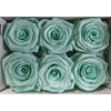 Ro Pres Classic Green Mint