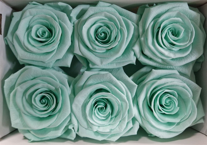 Ro Pres Classic Green Mint