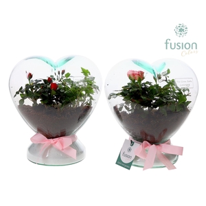 Green Bottle Glazen Hart helder met Arrangement