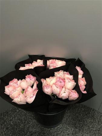 <h4>Ran Suc Nuance Sup</h4>