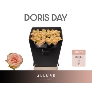 R GR DORIS DAY ALLURE