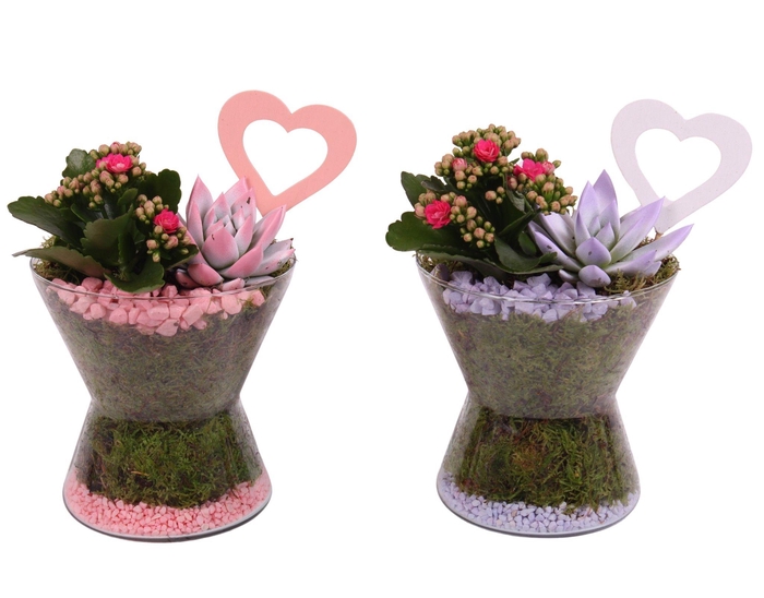 <h4>Mothersday Arr. Indoor Glass Hourglass Ø16cm 2PP</h4>