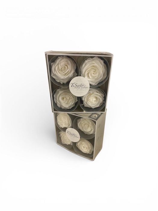 <h4>Arrangementen Potroos H%</h4>