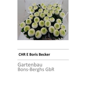 CHR E BORIS BECKER ANGEBOT