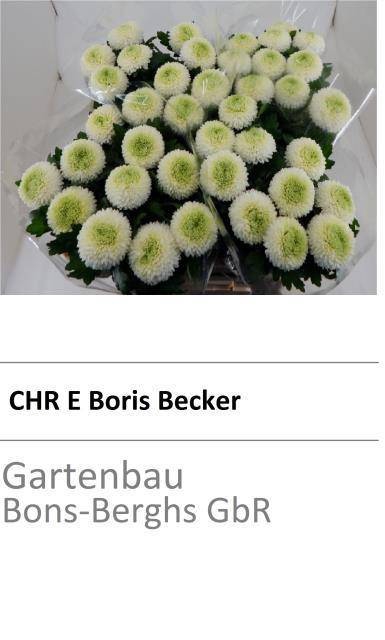 <h4>CHR E BORIS BECKER ANGEBOT</h4>