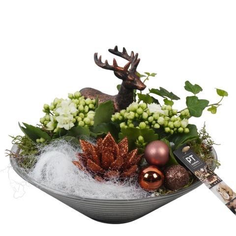 <h4>Opm Pt PTCHB9843 X-mas Bronze Glas Schaal</h4>