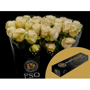 R GR Mondial Box