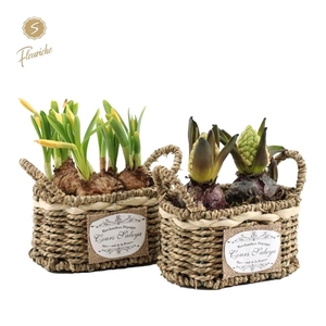 (2400) Hyacint Seagrass Basket 2PP